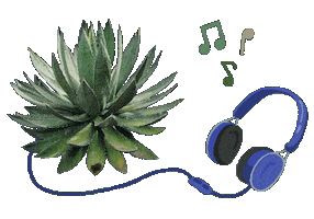 Musica Tequila Sticker by Santa Sabia Media