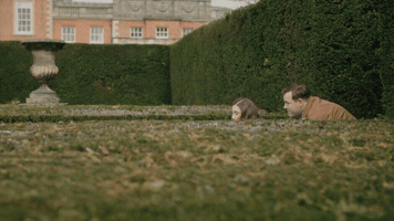 Sneak GIF by All Creatures Great And Small