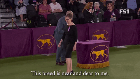 Obedience Training For Dogs Near Me GIFs Get the best GIF on GIPHY Obedience Training For Dogs Near Me GIFs Get the best GIF on GIPHY