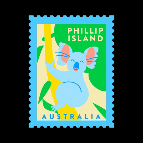 Australia Koala GIF by Visit Phillip Island
