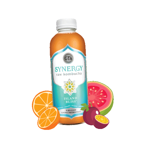 GT's Living Foods Sticker