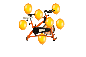 Birthday Celebrate Sticker by TEAMride Studios