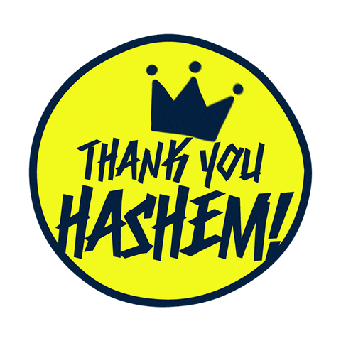 Tyhashem GIF by Thank You Hashem