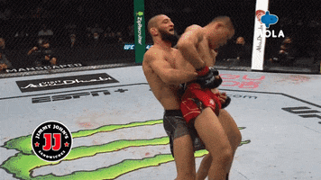Fight Reaction GIF by MolaTV