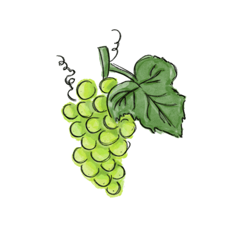 Weingut Neustifter Sticker