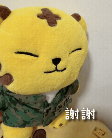 Thanks GIF