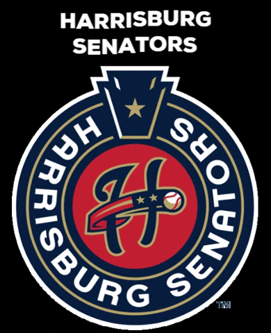 GIF by Harrisburg Senators