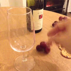 Food Drink Wine GIF
