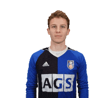 Z.V.V. Pelikaan Sticker