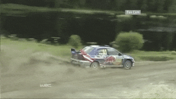 Driving Car Crash GIF by FIA World Rally Championship