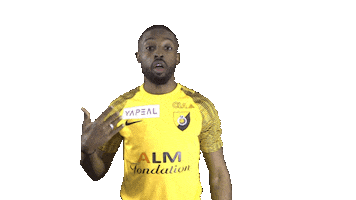 SRD Officiel Sticker