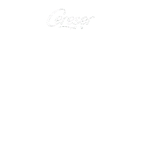 Long Neck Brinde Sticker by Cereser Autêntica