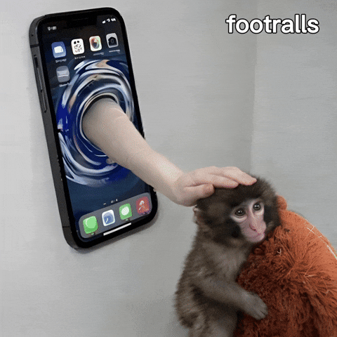 Punch Monkey Gif GIF