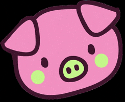Maz Visual GIF