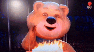 Winter Olympics Bear GIF by Complex