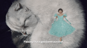 Flexing Music Video GIF by Taylor Swift