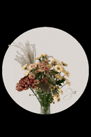 200.gif?cid=fc005b08a858831430ed6119b53b084dd705dc723b49ef05&rid=200.gif&ct=g