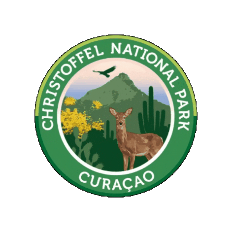 Park Cura Sticker by Curacao FTW