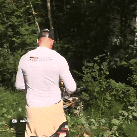 Check Motorsport GIF by FIA World Rally Championship
