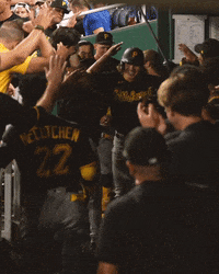 GIFs, The Dugout Perspective