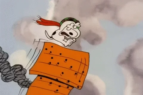 its the great pumpkin charlie brown halloween GIF by Peanuts