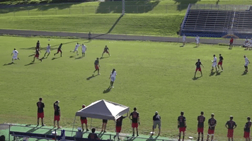 audl  GIF