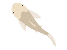 UF/IFAS Center for Aquatic and Invasive Plants Sticker