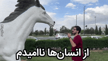 Alireza GIF