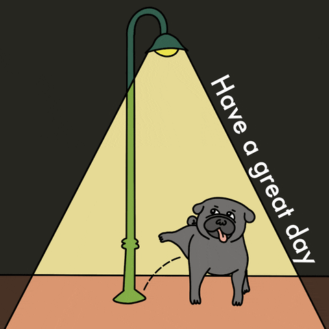 Cartoon gif. Green lamppost illuminates a gray mutt deliberately peeing on the base. White text flashes on both sides and reads, "Have a great day."