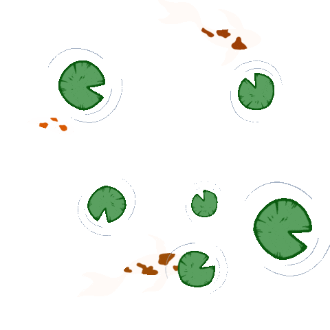 Coi Fish Sticker
