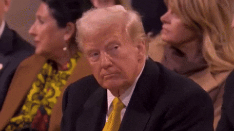 giphy.gif?cid=9b38fe91iin3c5ev8ya6cxjkjy