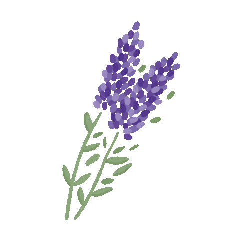 Cosmo Naturel Sticker