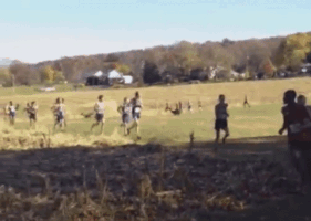 summercollider deer runner track cross country GIF