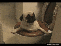 Doggo Dog Bye Gifs Get The Best Gif On Giphy