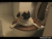 Doggo Dog Bye Gifs Get The Best Gif On Giphy Doggo Dog Bye Gifs Get The Best Gif On Giphy