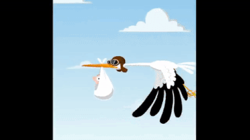 Birth Of A Family Gifs Get The Best Gif On Giphy