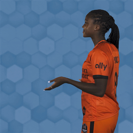Womens Soccer What GIF by Houston Dash