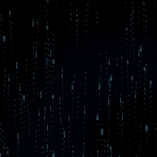 puntonet GIF