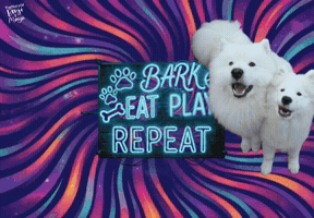 Dog Sleep GIF