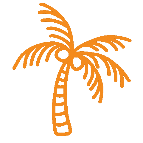 Puerto Rico Van Life Sticker by Vive La Van