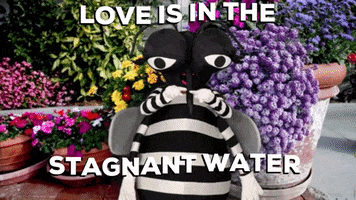 Love Is In The Air Valentines GIF by GLAmosquito