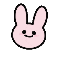 Rabbit Wonpil Sticker
