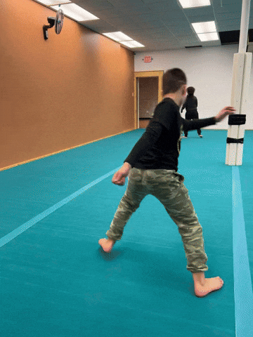 The Michigan Center for Capoeira GIF