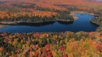 Autumn GIF