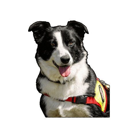 Rettungshund Sticker by Österreichische Rettungshundebrigade