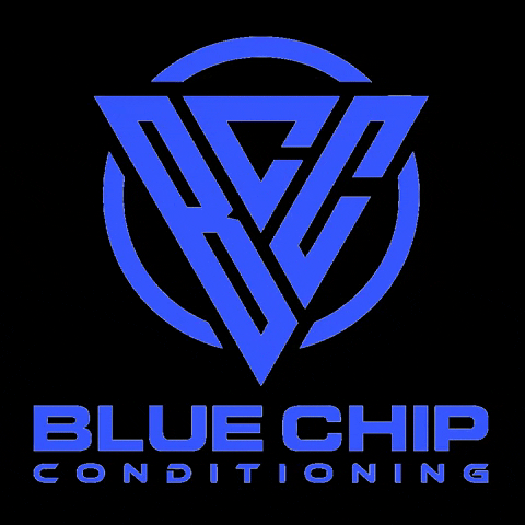 Blue Chip Conditioning GIF