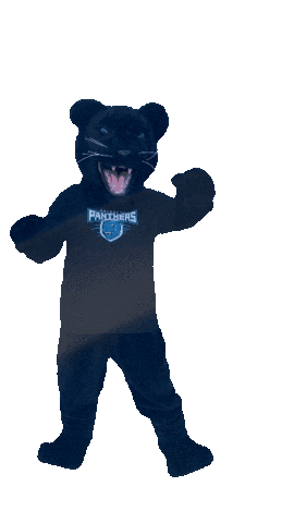 Academica Sticker by Somerset Panthers
