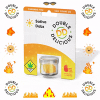 Sun Energy GIF by Double Delicious