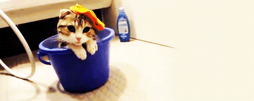 200.gif