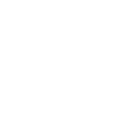 Logo Workout Sticker by Snap Fitness